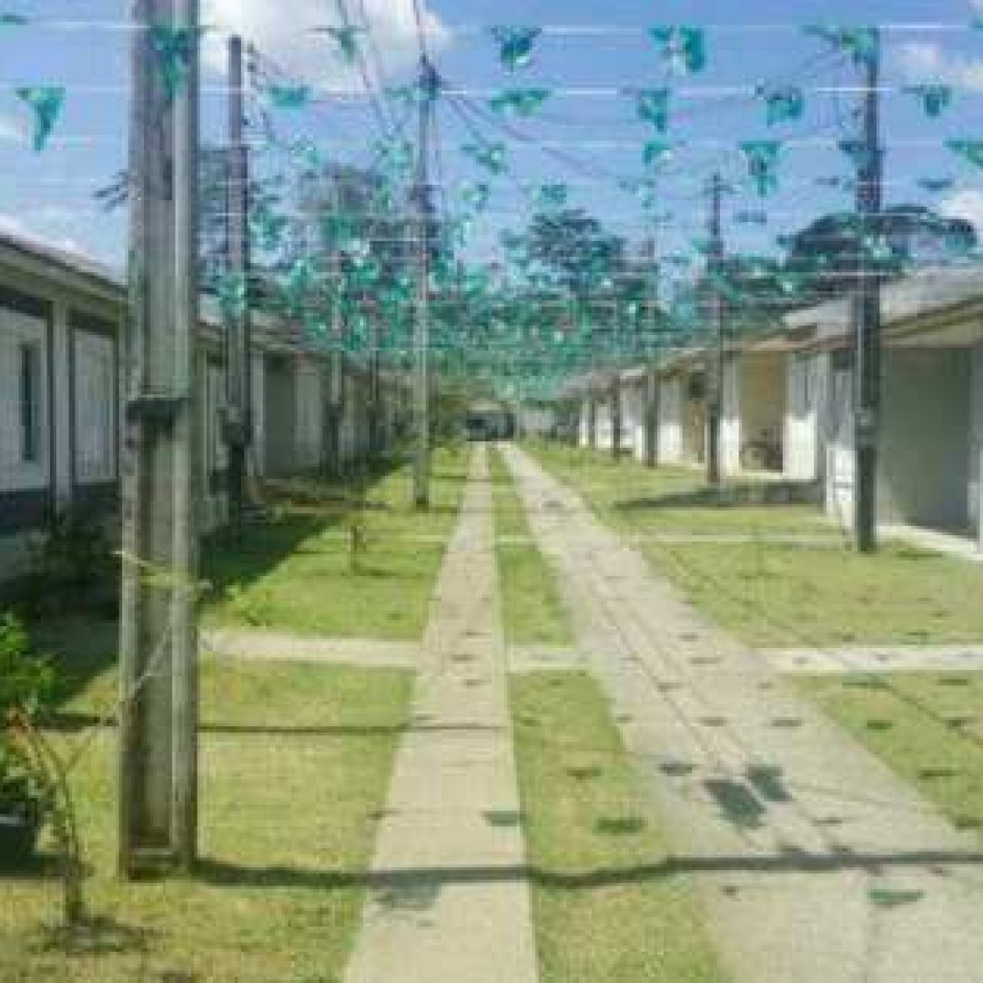 aHR0cHM6Ly9pbWcub2x4LmNvbS5ici9pbWFnZXMvMTcvMTc0ODA0MDI2MzIxNzkzLmpwZw